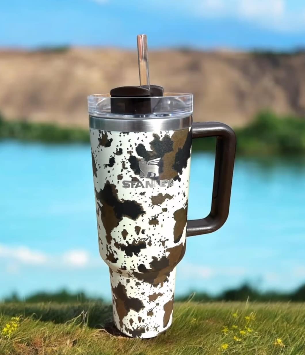 Cow Stanley